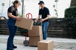Movers And Packers In Abu Dhabi - Wslz Alpha Movers